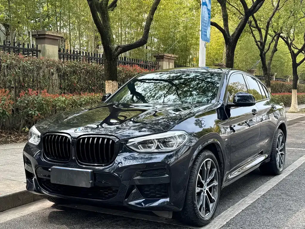 BMW X4 2021 из CN, фото 1