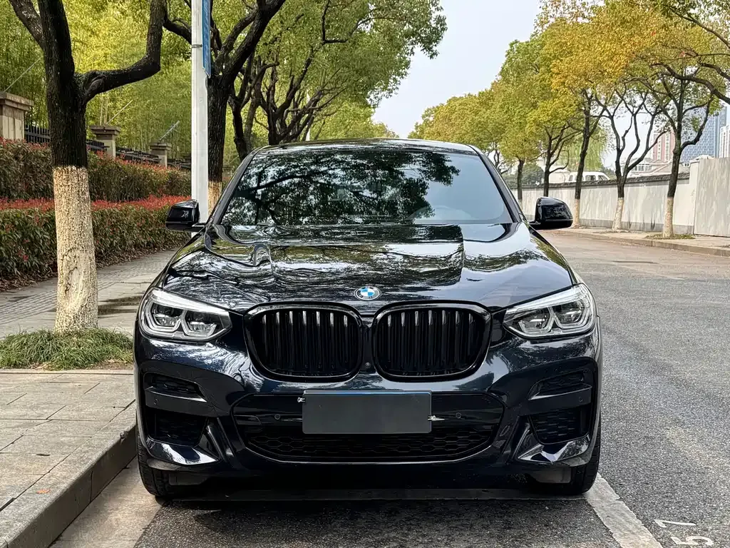 BMW X4 2021 из CN, фото 7