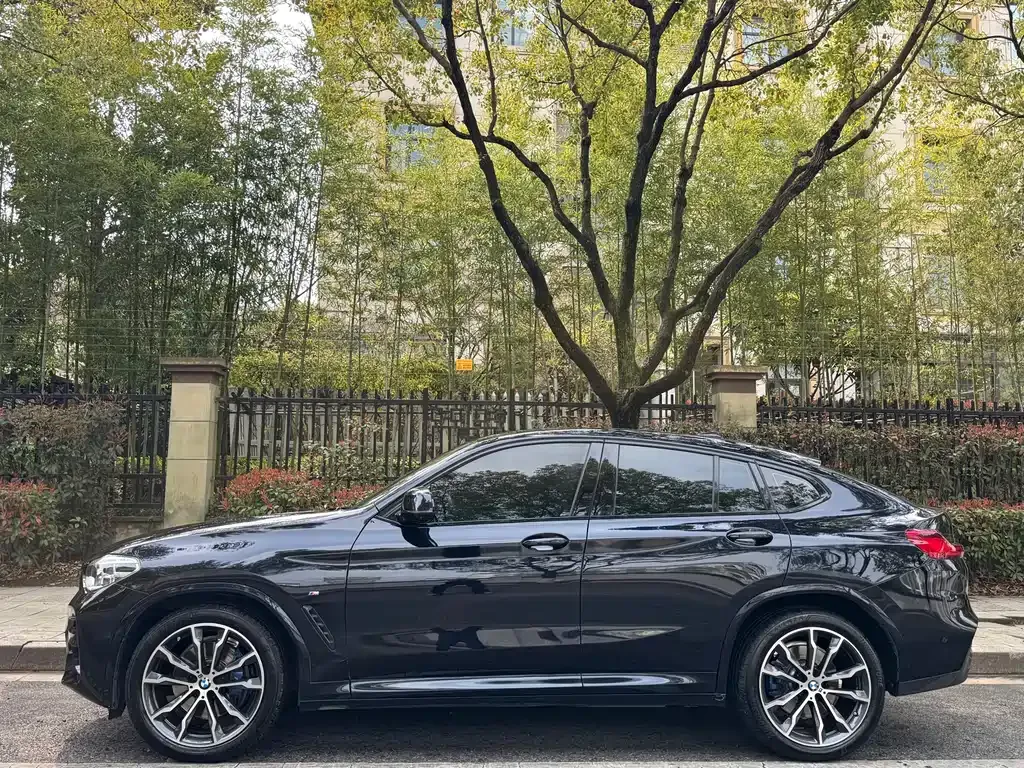 BMW X4 2021 из CN, фото 10
