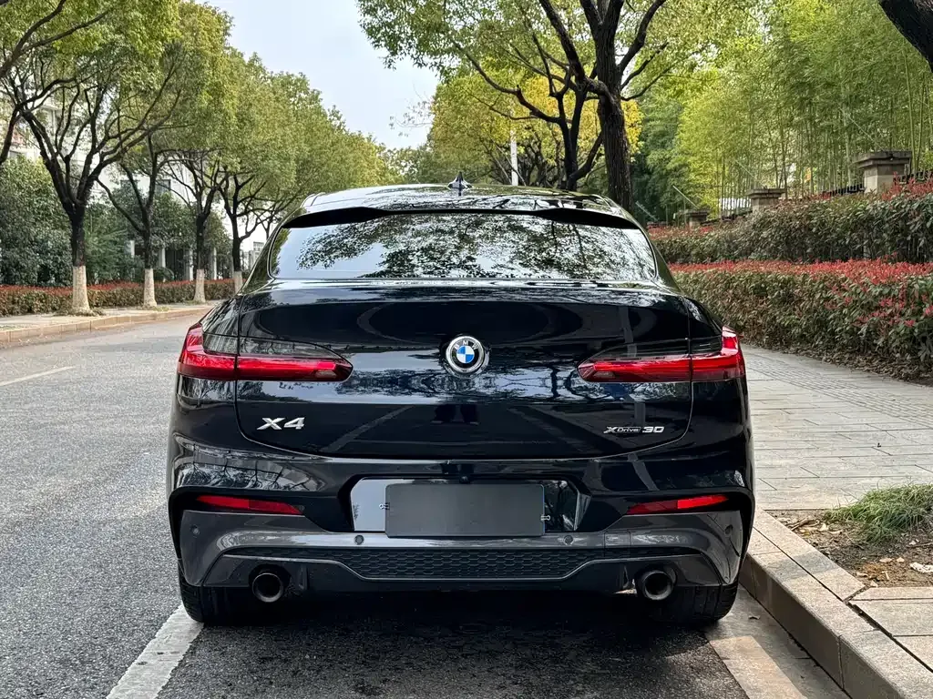 BMW X4 2021 из CN, фото 8