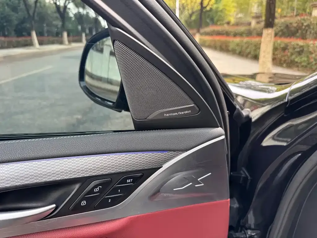 BMW X4 2021 из CN, фото 3