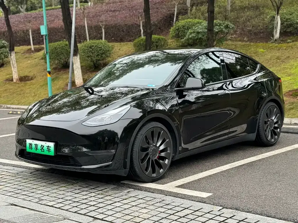 Tesla Model Y 2022 из CN, фото 1
