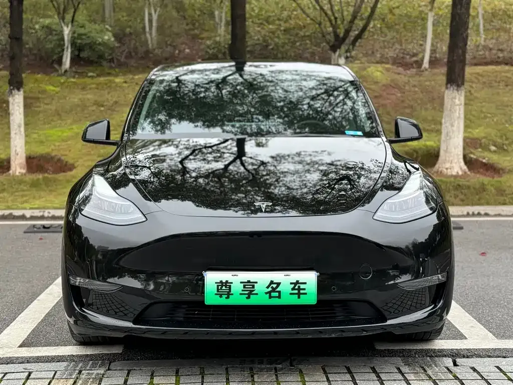 Tesla Model Y 2022 из CN, фото 3