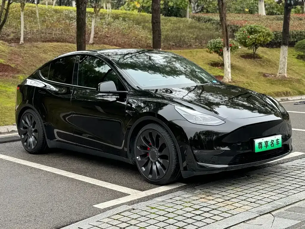 Tesla Model Y 2022 из CN, фото 9
