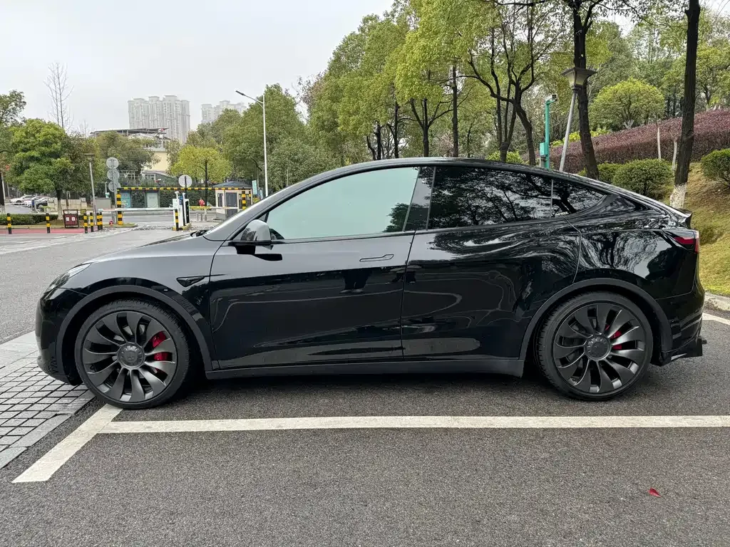 Tesla Model Y 2022 из CN, фото 6