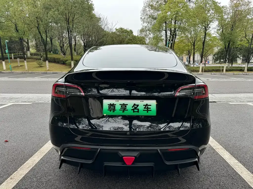 Tesla Model Y 2022 из CN, фото 4