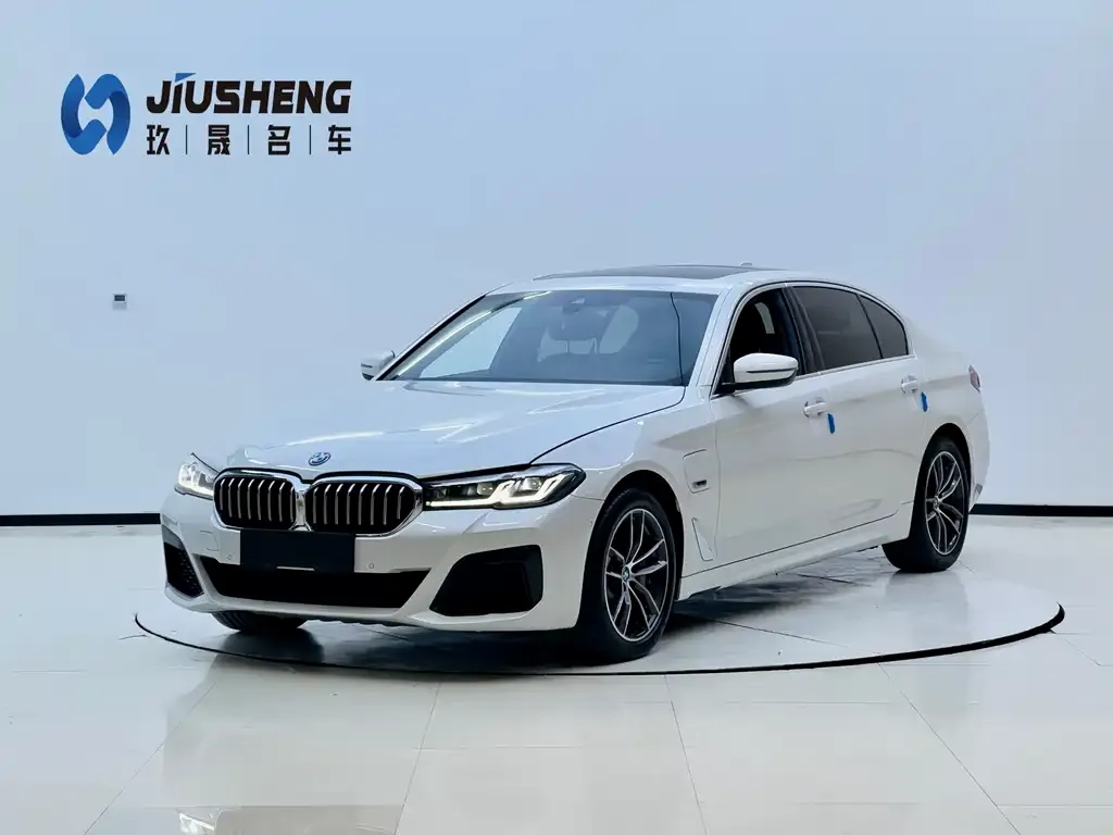 BMW 5 Series New Energy 2022 из CN, фото 1