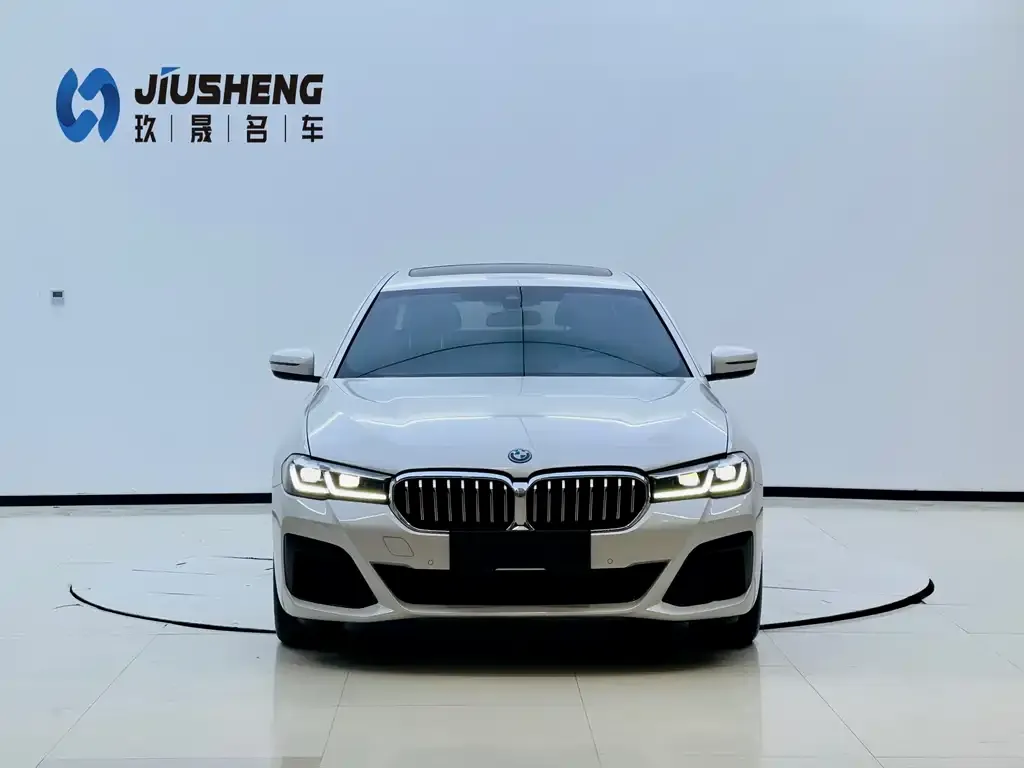 BMW 5 Series New Energy 2022 из CN, фото 5