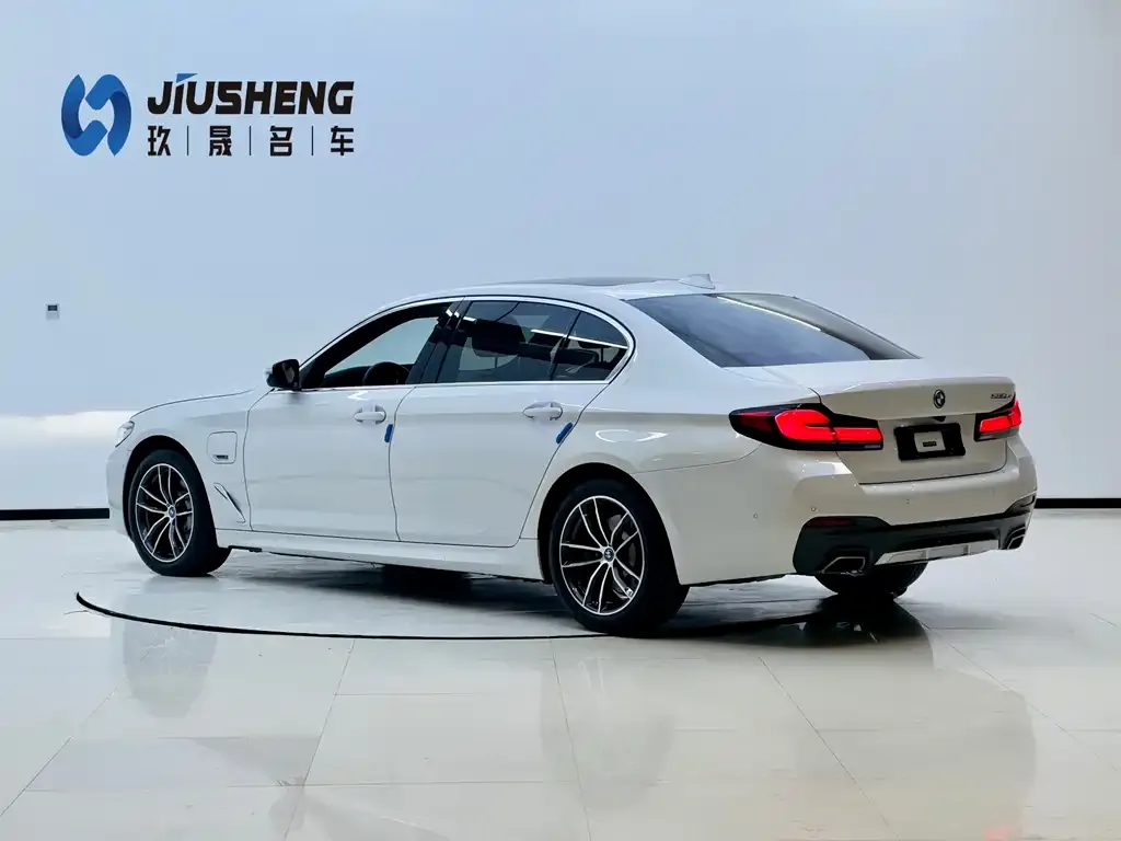 BMW 5 Series New Energy 2022 из CN, фото 4