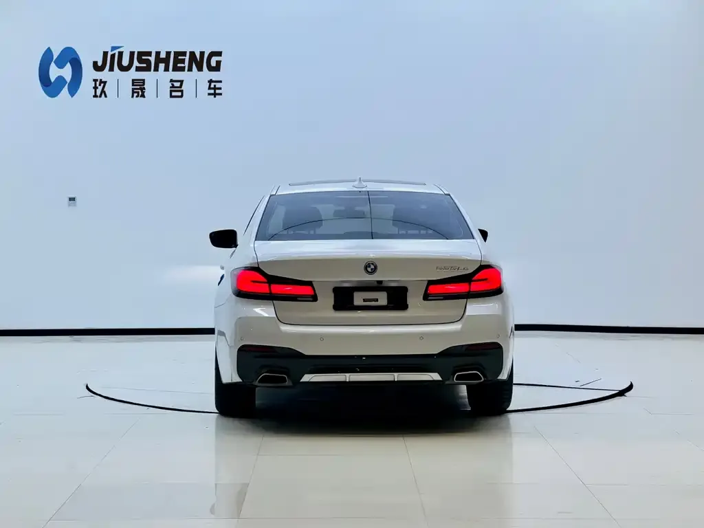 BMW 5 Series New Energy 2022 из CN, фото 8