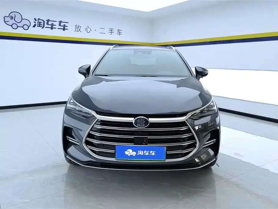 BYD Tang New Energy — фото 2