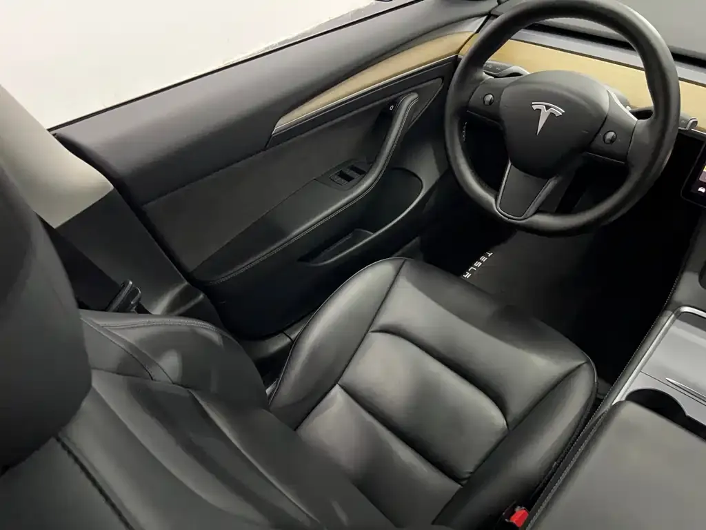 Tesla Model 3 2021 из CN, фото 3