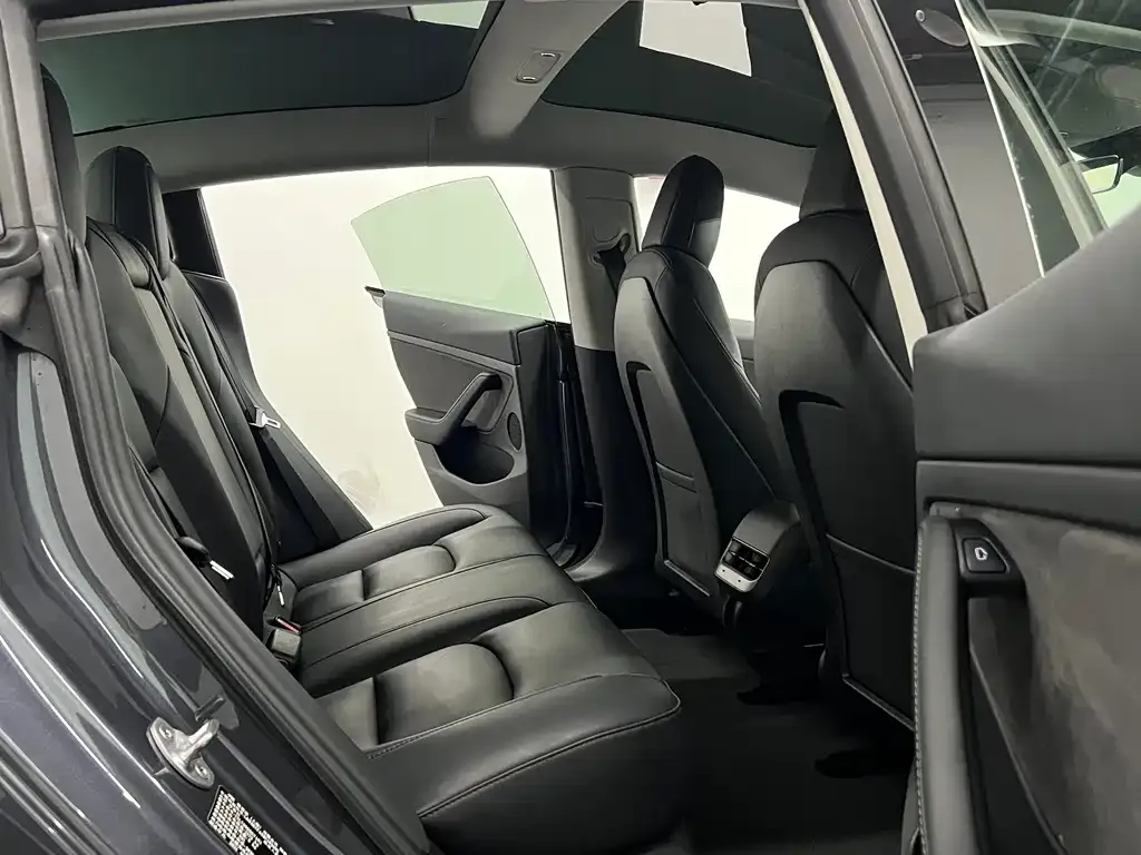 Tesla Model 3 2021 из CN, фото 5