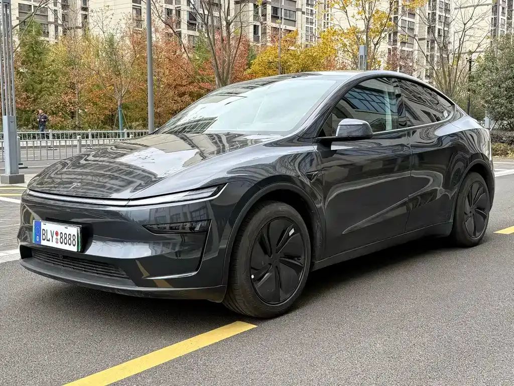 Tesla Model Y — фото 1