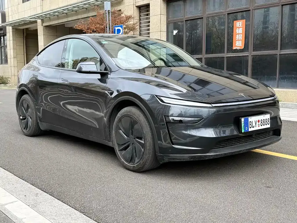 Tesla Model Y — фото 6
