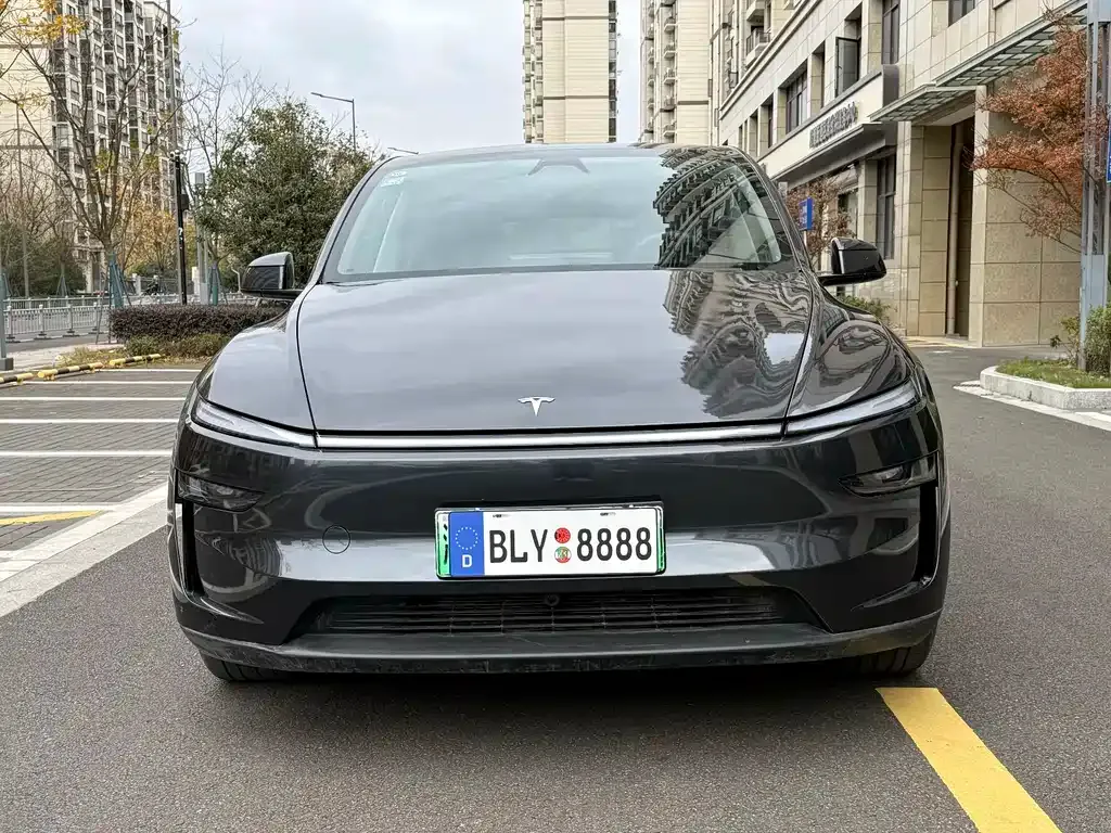 Tesla Model Y — фото 5