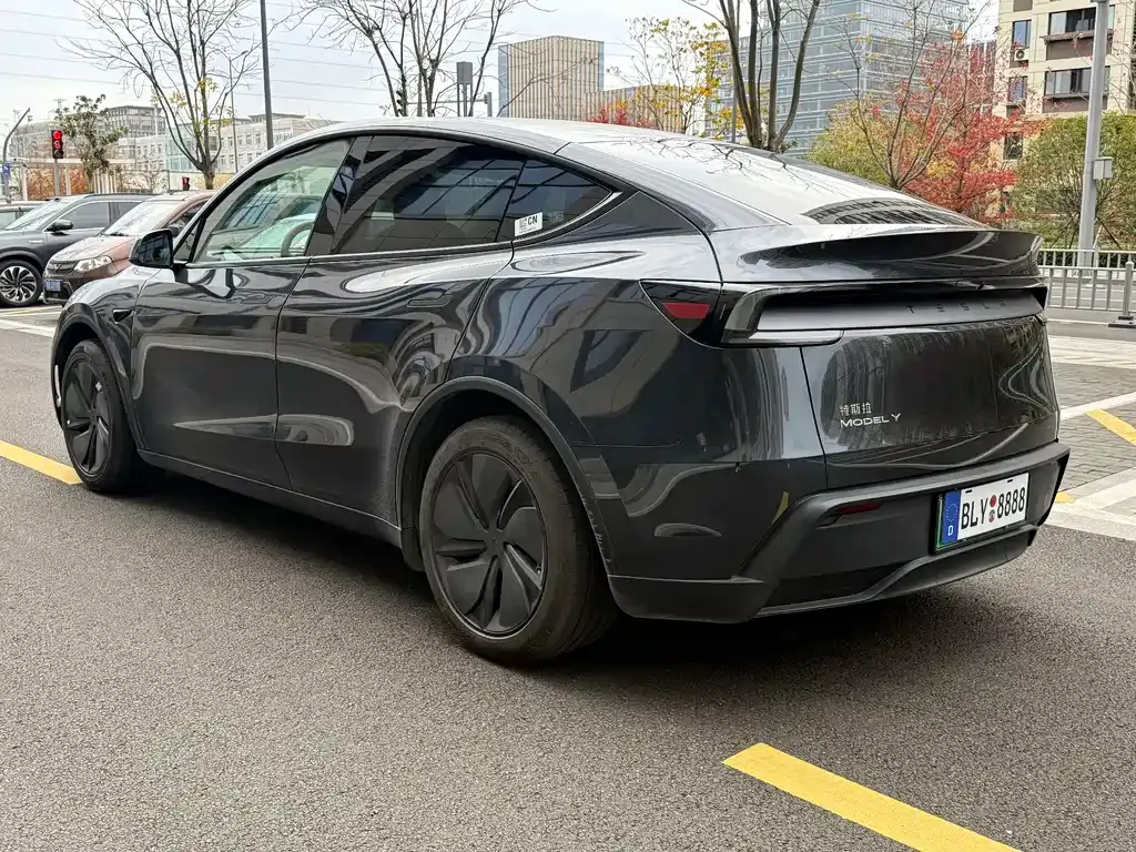 Tesla Model Y — фото 8