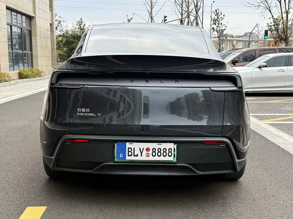 Tesla Model Y — фото 9