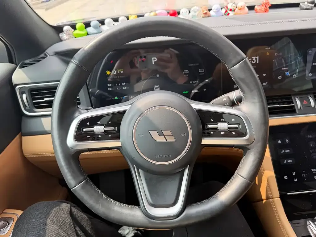 Li Auto Li ONE 2023 из CN, фото 5