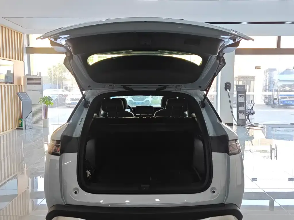 BYD L DM-i — фото 10