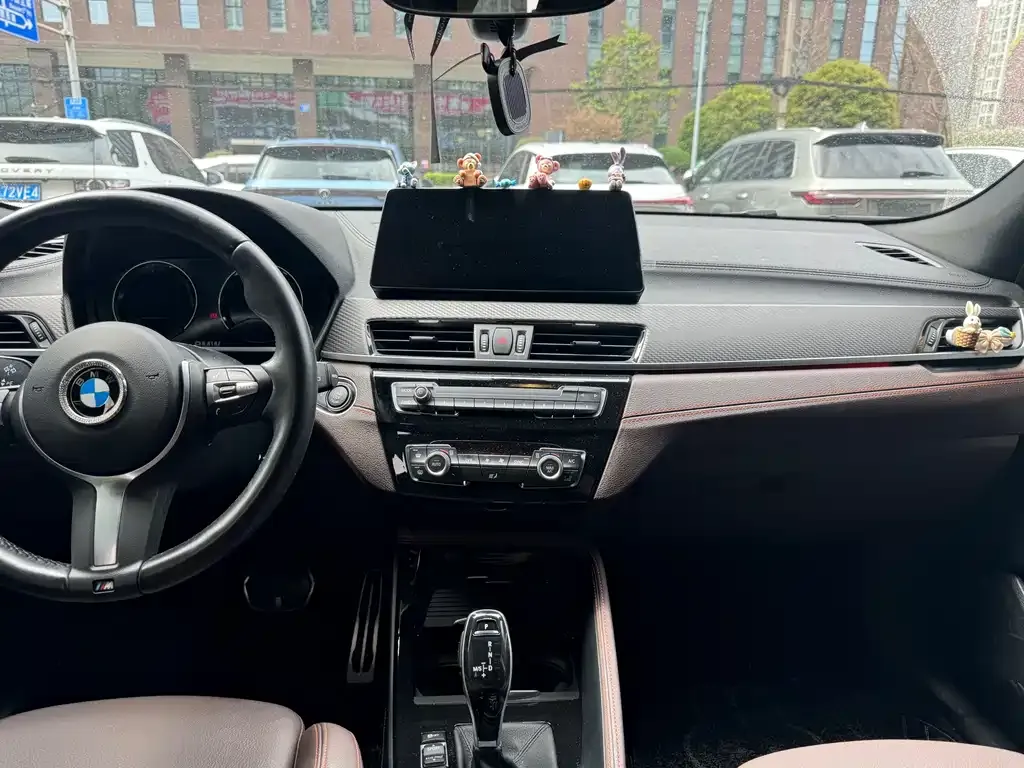 BMW X2 2022 из CN, фото 10