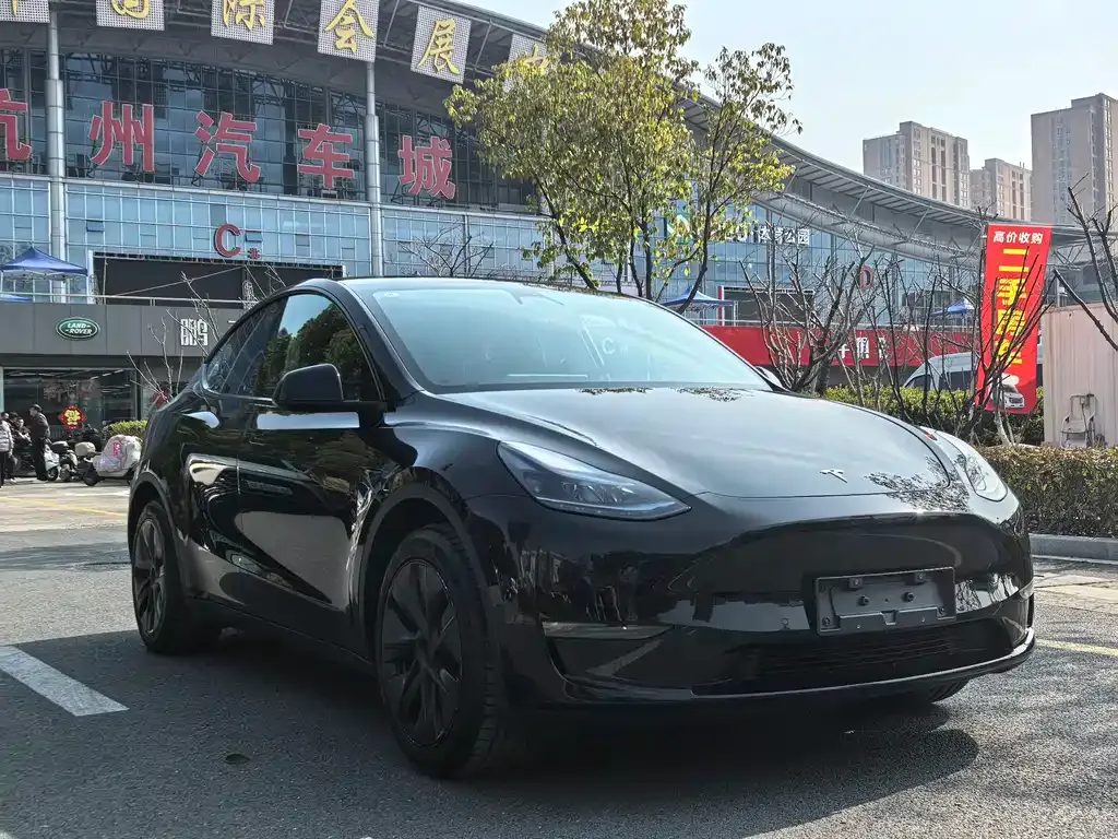 Tesla Model Y — фото 3