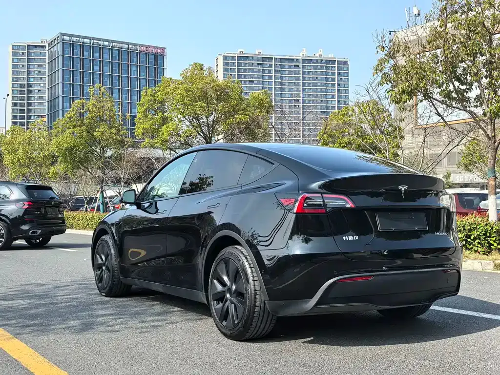 Tesla Model Y — фото 4