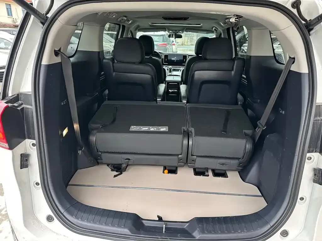 GAC Motor Trumpchi M8 2023 из CN, фото 5