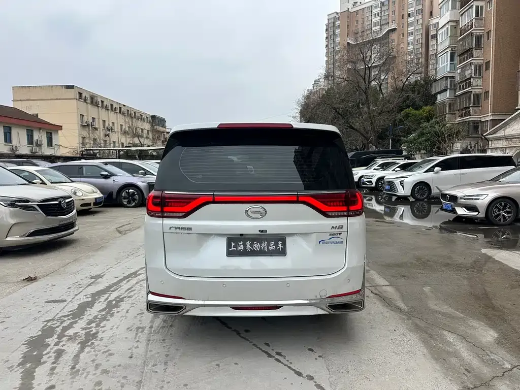 GAC Motor Trumpchi M8 2023 из CN, фото 4