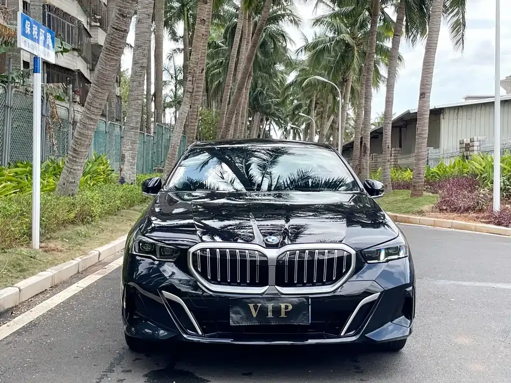 BMW 5 Series 2024 из CN, фото 5