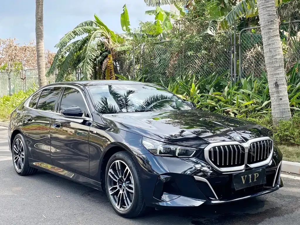 BMW 5 Series 2024 из CN, фото 10