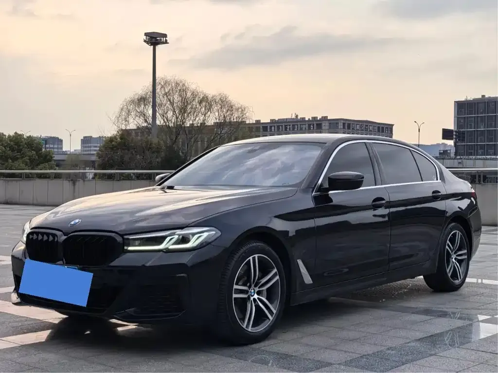 BMW 5 Series 2021 из CN, фото 1