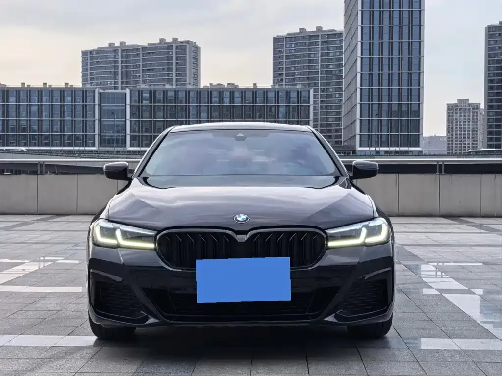 BMW 5 Series 2021 из CN, фото 6