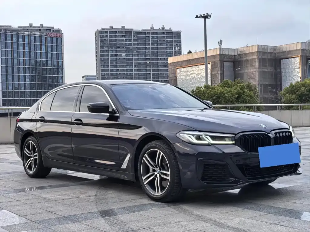BMW 5 Series 2021 из CN, фото 9