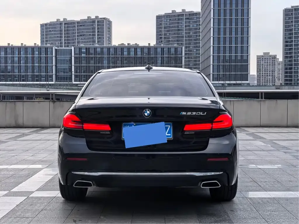 BMW 5 Series 2021 из CN, фото 8