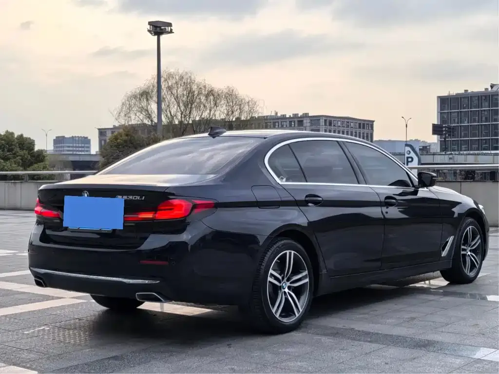 BMW 5 Series 2021 из CN, фото 7