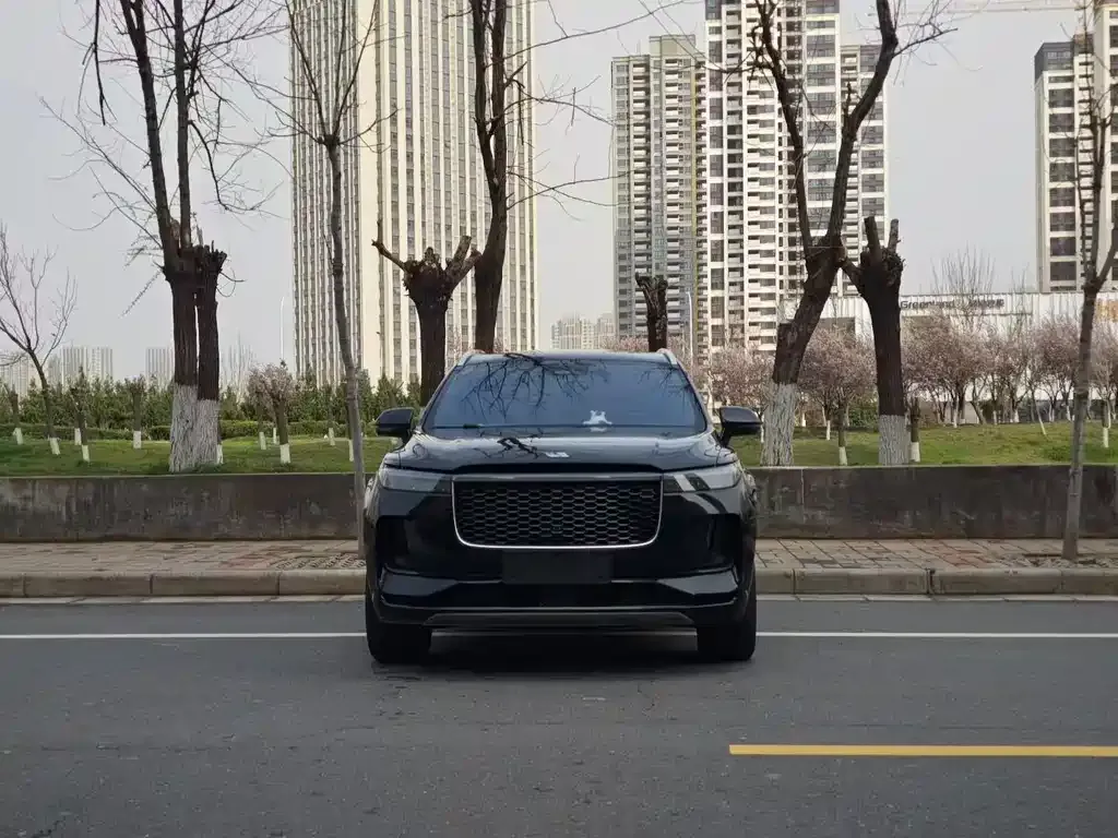 Li Auto Li ONE 2021 из CN, фото 2