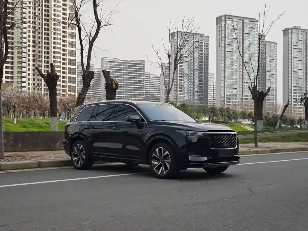 Li Auto Li ONE 2021 из CN, фото 9