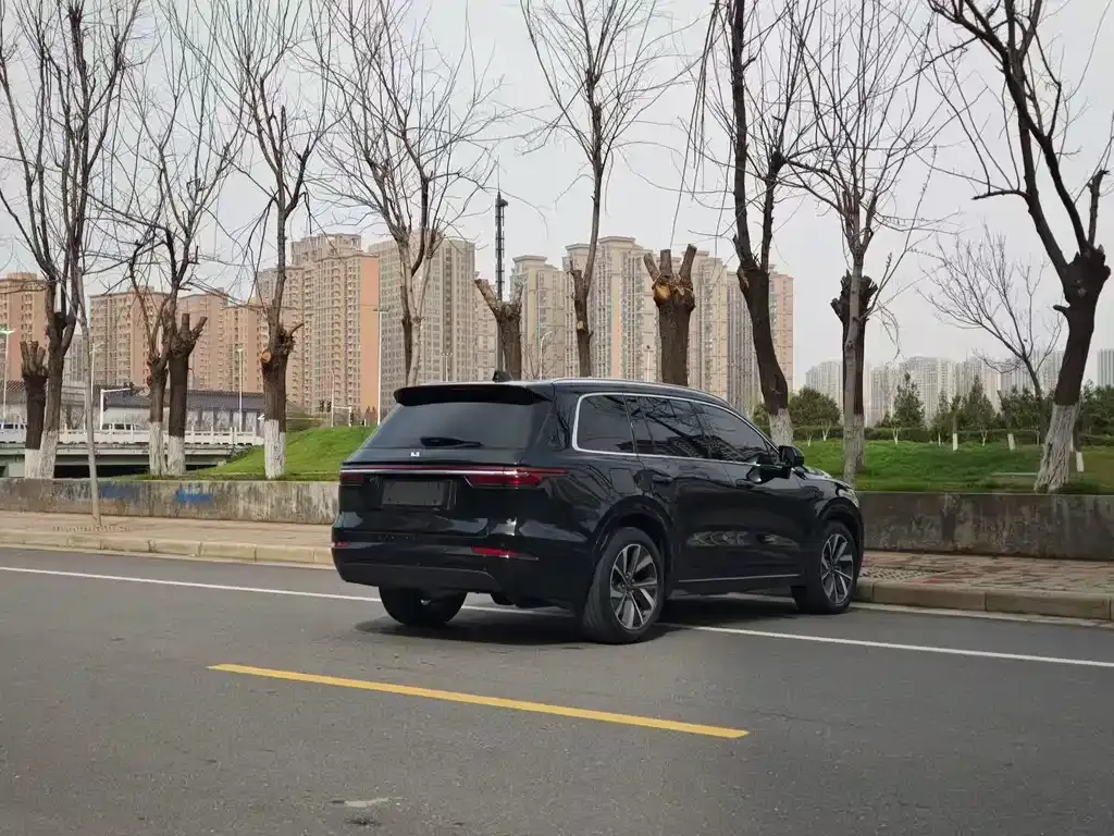 Li Auto Li ONE 2021 из CN, фото 7