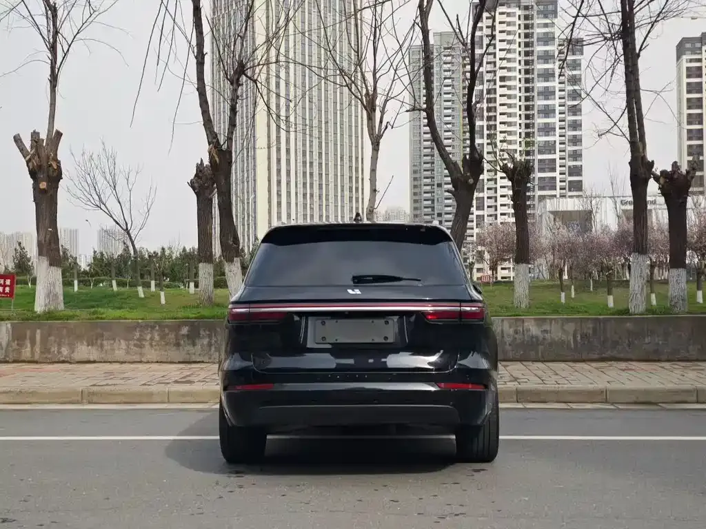 Li Auto Li ONE 2021 из CN, фото 5