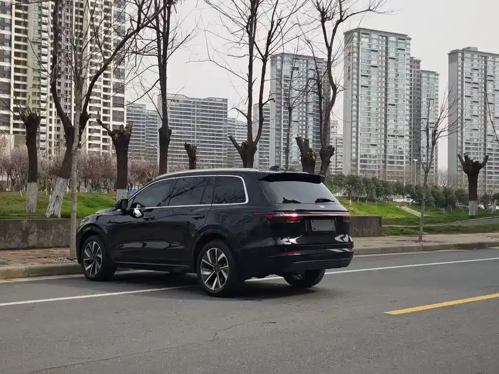 Li Auto Li ONE 2021 из CN, фото 8