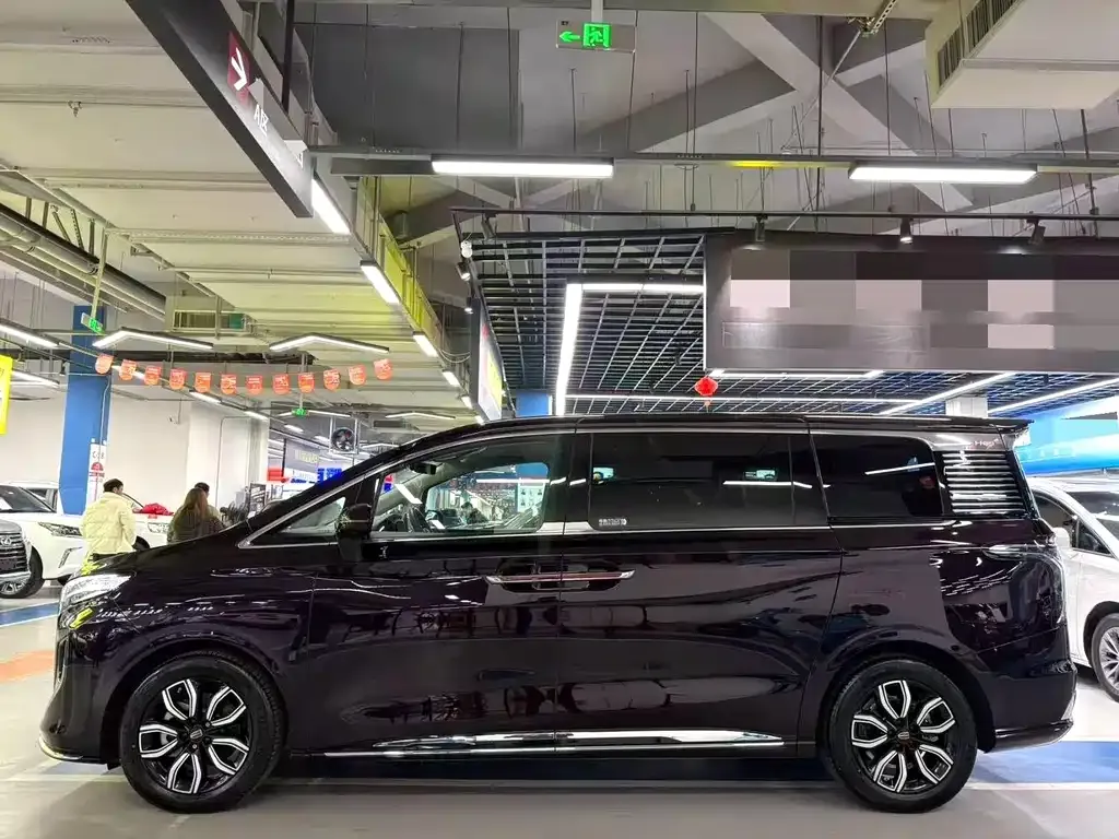 Hongqi HQ9 2023 из CN, фото 2