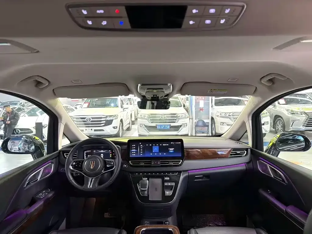 Hongqi HQ9 2023 из CN, фото 3