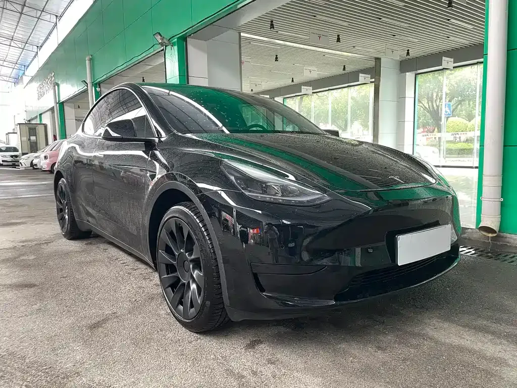Tesla Model Y 2023 из CN, фото 9