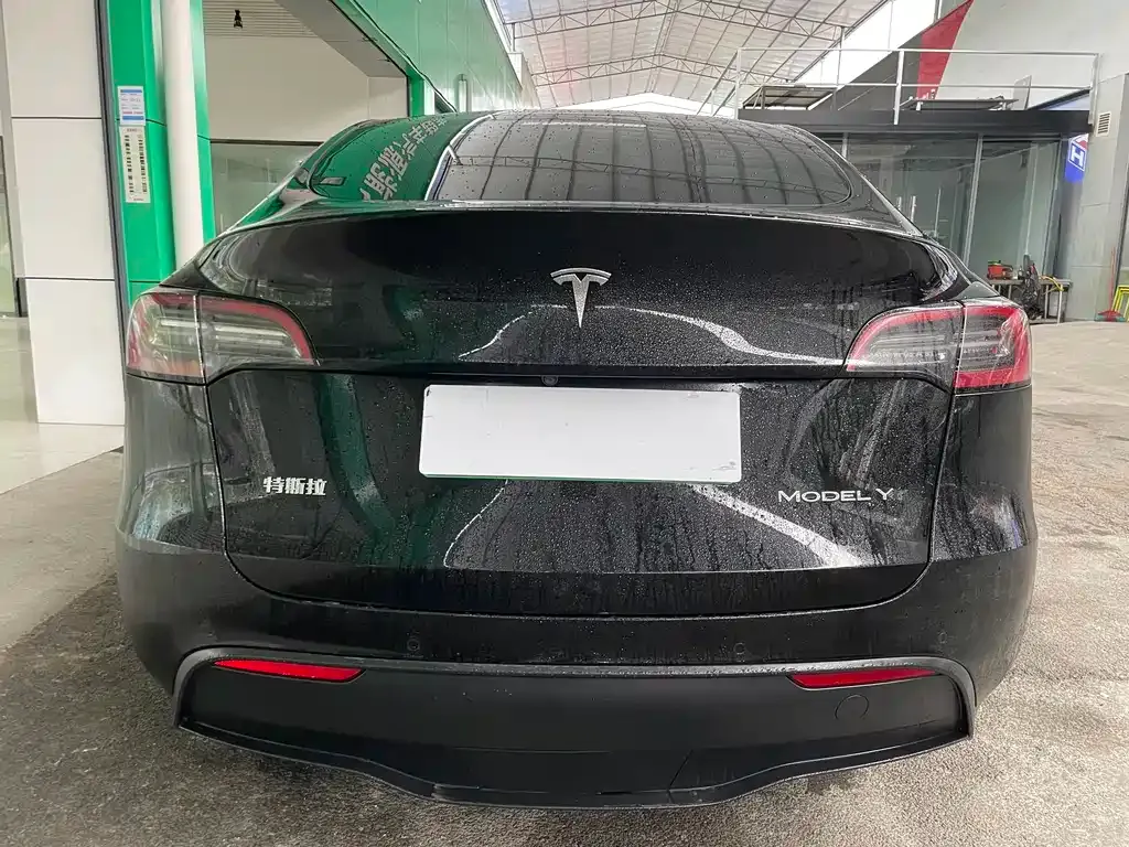 Tesla Model Y 2023 из CN, фото 8