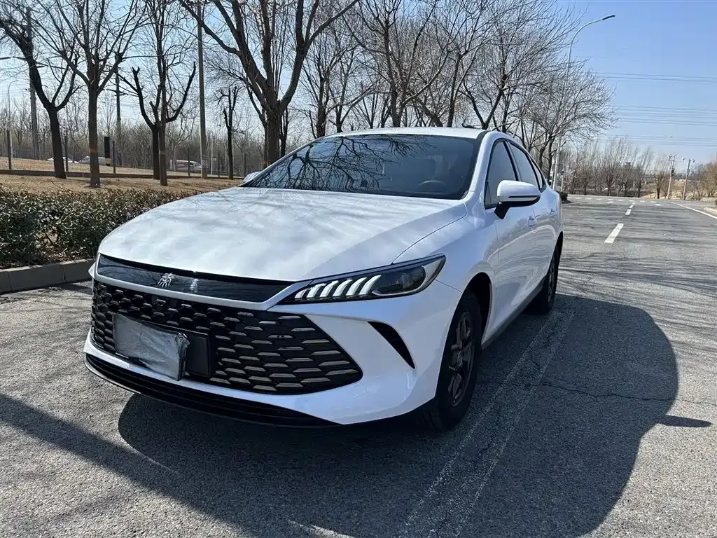 BYD Qin PLUS 2025 из CN, фото 1