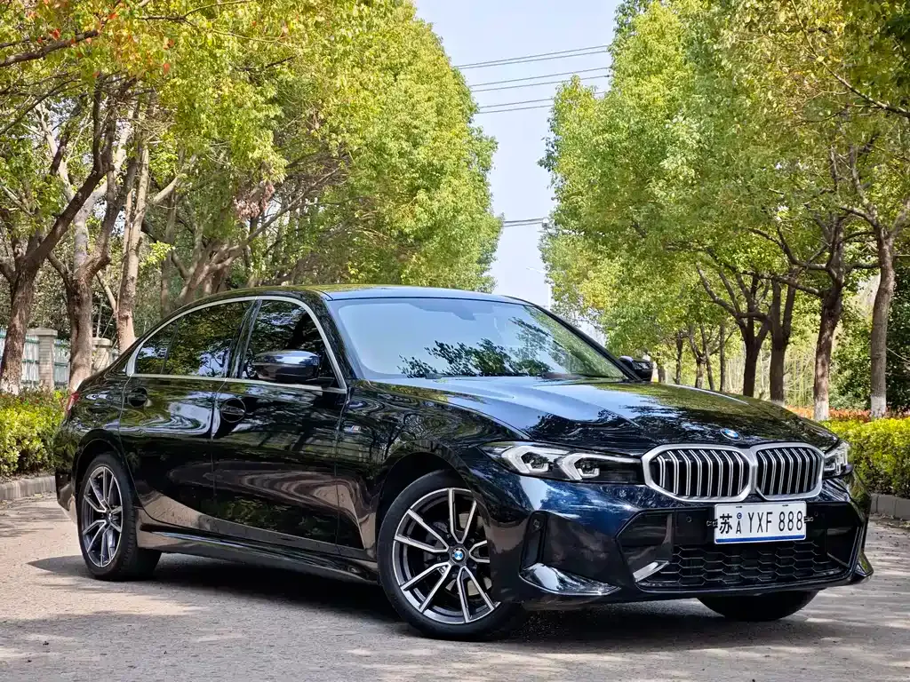 BMW 3 Series 2023 из CN, фото 6
