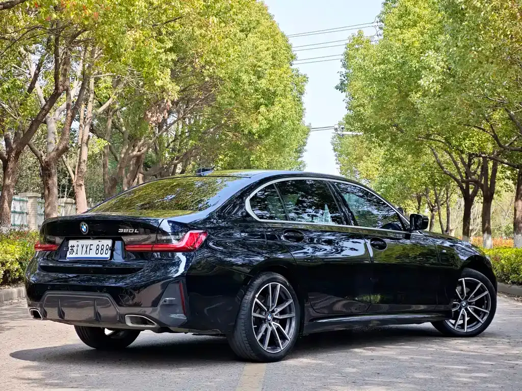 BMW 3 Series 2023 из CN, фото 8