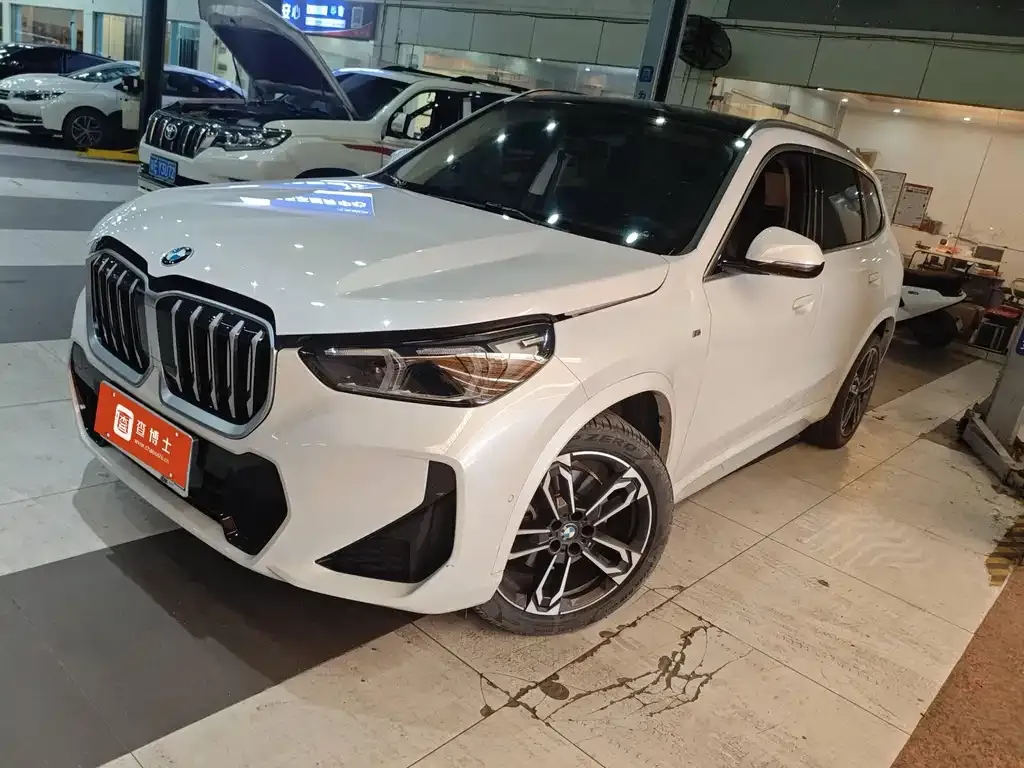 BMW X1 — фото 1