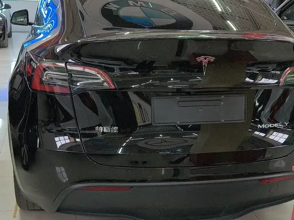 Tesla Model Y — фото 3